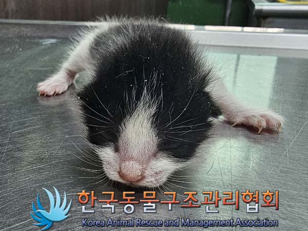 종료(자연사) 한국…